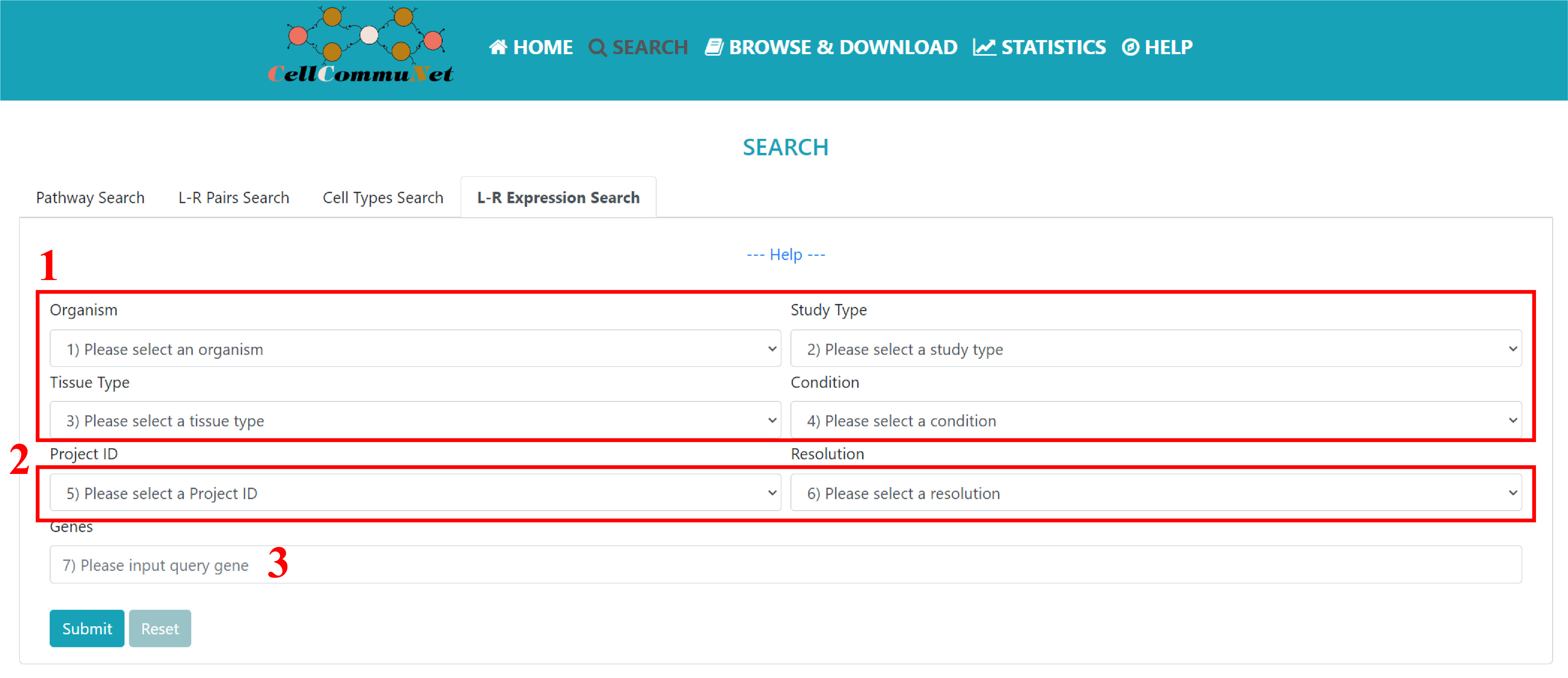 L-R expression search tab img