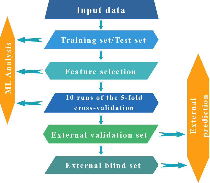 MLSERVER workflow