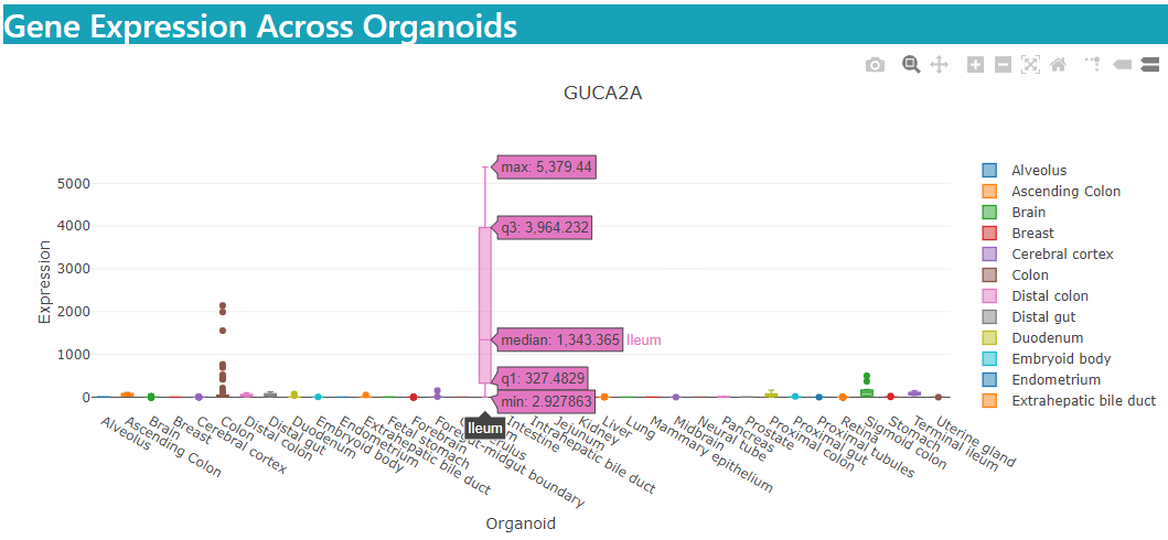 organoid specificity img